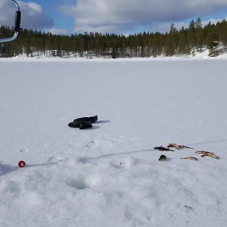 Huuhkamajat *