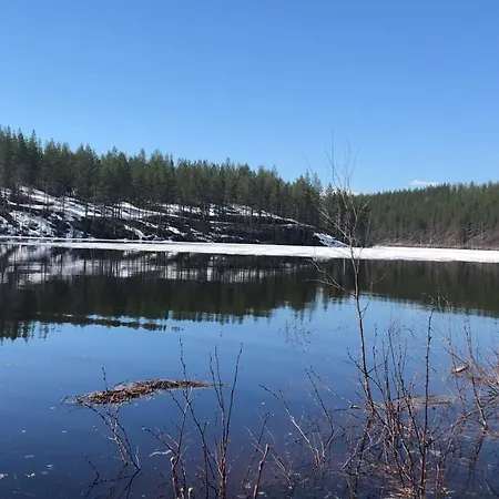 Huuhkamajat Syote