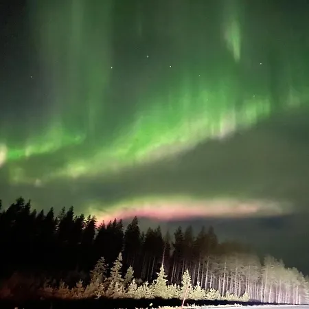 Chalet Huuhkamajat *